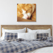 Sleeping Kitten Canvas Afdruk (Insitu (Slaapkamer))