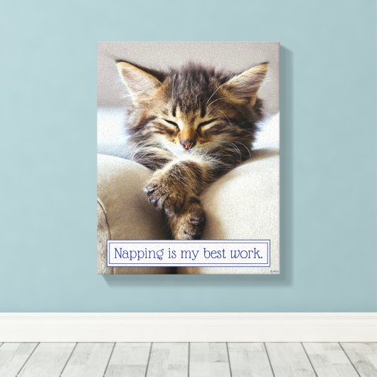 Sleeping Kitten Canvas Afdruk (Insitu (Houten vloer))
