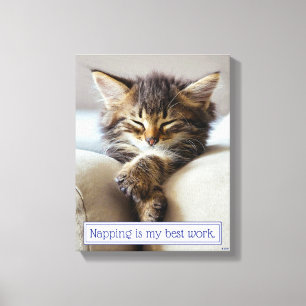 Sleeping Kitten Canvas Afdruk