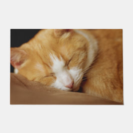 Sleeping Kitten Deurmat