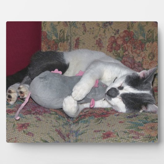 Sleeping Kitten Fotoplaat (Voorkant)