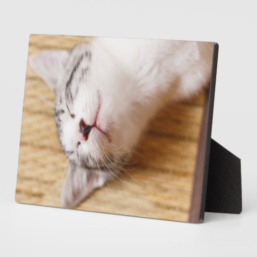 Sleeping Kitten Fotoplaat (Zijkant)