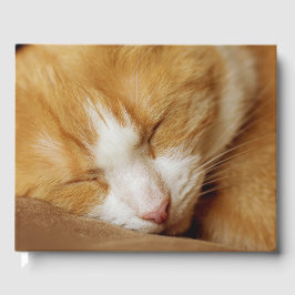 Sleeping Kitten Gastenboek