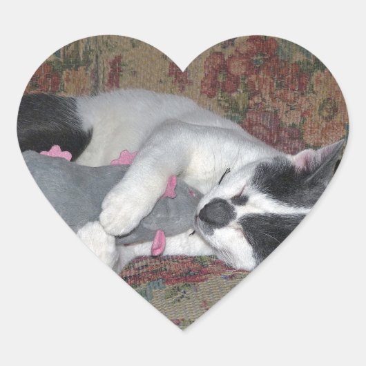 Sleeping Kitten Hart Sticker (Voorkant)