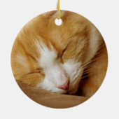 Sleeping Kitten Keramisch Ornament (Achterkant)