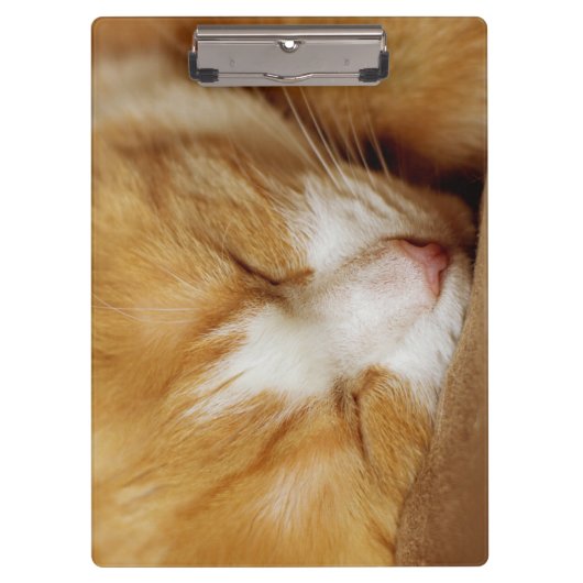 Sleeping Kitten Klembord (Voorkant)