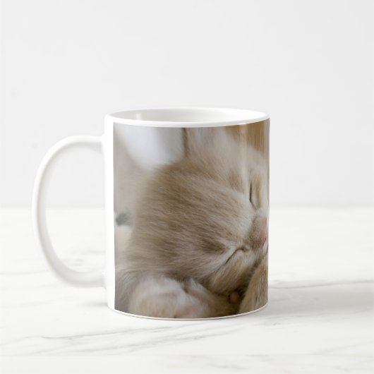 Sleeping Kitten Koffiemok (Links)