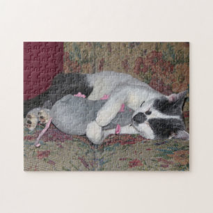 Sleeping Kitten Legpuzzel