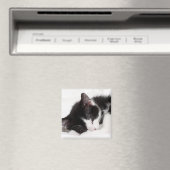 Sleeping Kitten Magneet (Insitu (Vaatwasser))