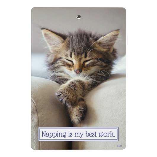 Sleeping Kitten Mini Klembord (Achterkant)