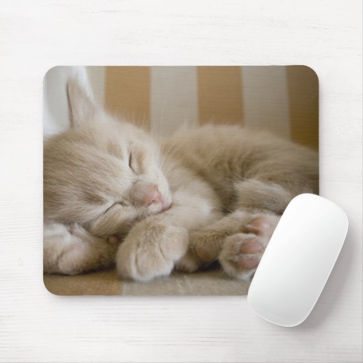 Sleeping Kitten Muismat (Met muis)