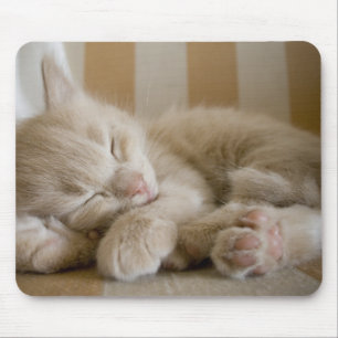 Sleeping Kitten Muismat