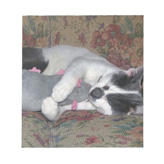 Sleeping Kitten Notitieblok (Voorkant)