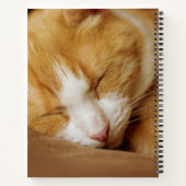 Sleeping Kitten Notitieboek (Achterkant)