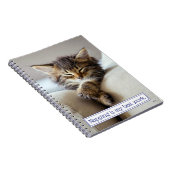 Sleeping Kitten Notitieboek (Rechterzijde)