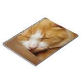 Sleeping Kitten Notitieboek (Linkerzijde)