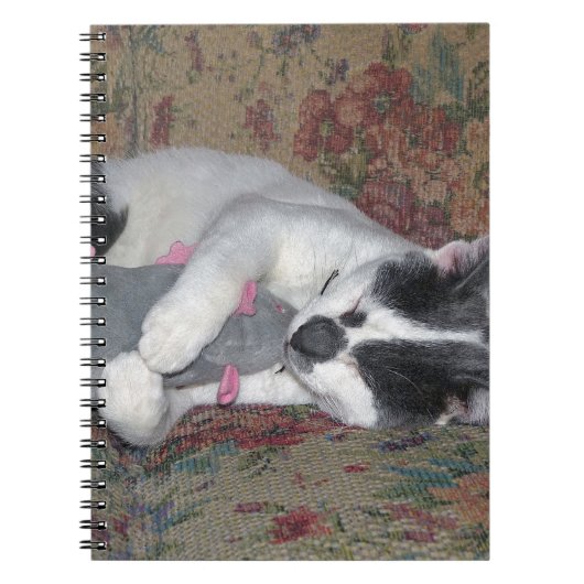 Sleeping Kitten Notitieboek (Voorkant)