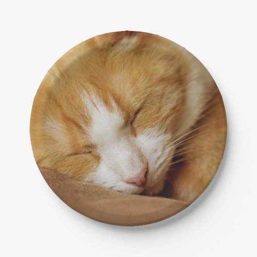 Sleeping Kitten Papieren Bordje (Voorkant)