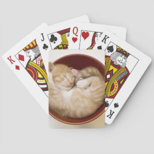 Sleeping Kitten Pokerkaarten