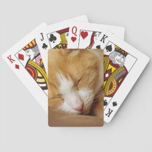 Sleeping Kitten Pokerkaarten