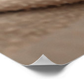 Sleeping Kitten Poster (Hoek)