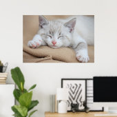 Sleeping Kitten Poster (Thuiskantoor)