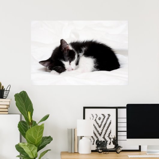 Sleeping Kitten Poster (Thuiskantoor)