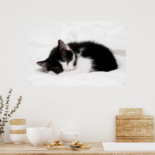 Sleeping Kitten Poster (Keuken)