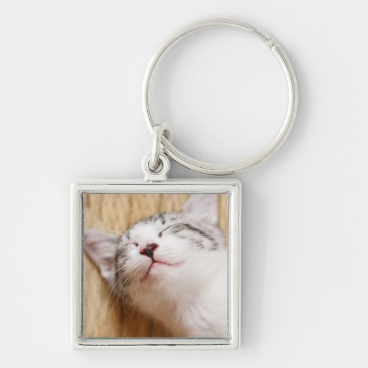 Sleeping Kitten Sleutelhanger (Voorkant)