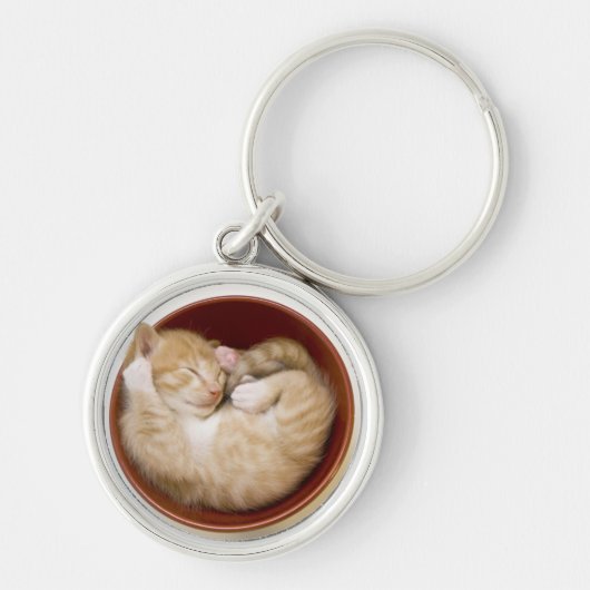 Sleeping Kitten Sleutelhanger (Voorkant)