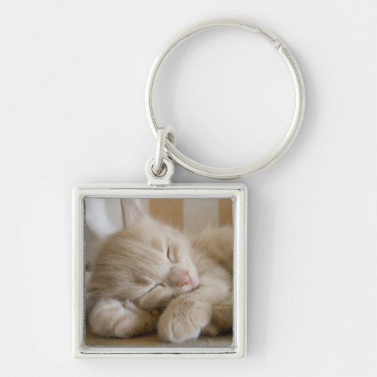 Sleeping Kitten Sleutelhanger (Voorkant)