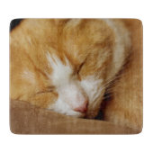 Sleeping Kitten Snijplank (Voorkant)