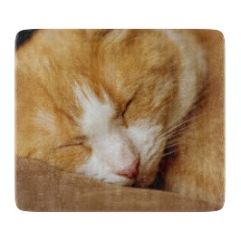 Sleeping Kitten Snijplank