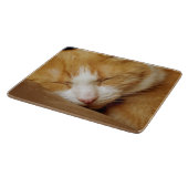 Sleeping Kitten Snijplank (Hoek)