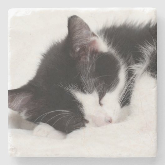 Sleeping Kitten Stenen Onderzetter (Voorkant)
