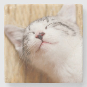 Sleeping Kitten Stenen Onderzetter