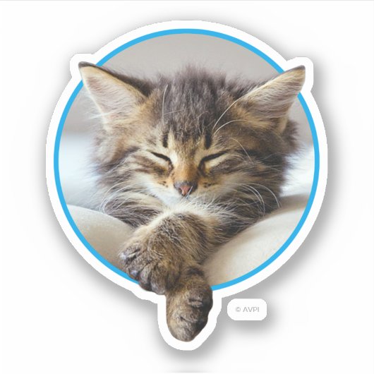 Sleeping Kitten Sticker (Voorkant)
