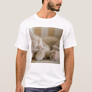 Sleeping Kitten T-shirt