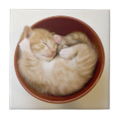 Sleeping Kitten Tegeltje (Voorkant)