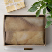 Sleeping Kitten Tissuepapier (Geschenk)