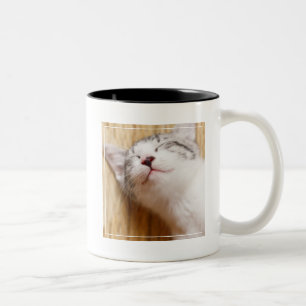 Sleeping Kitten Tweekleurige Koffiemok