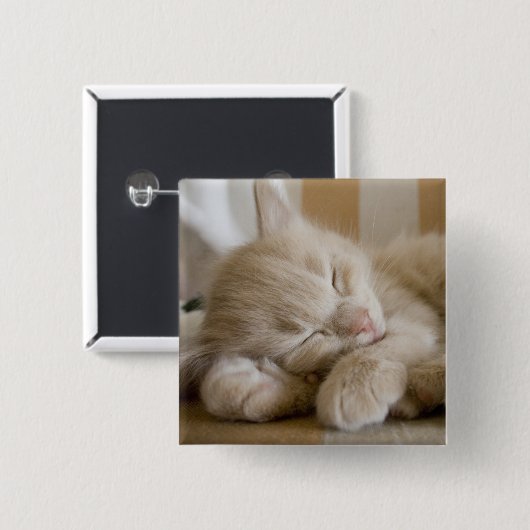 Sleeping Kitten Vierkante Button 5,1 Cm (Voorkant /achterkant)