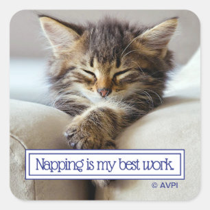 Sleeping Kitten Vierkante Sticker