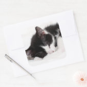 Sleeping Kitten Vierkante Sticker (Envelop)
