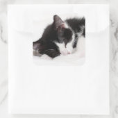 Sleeping Kitten Vierkante Sticker (Tas)