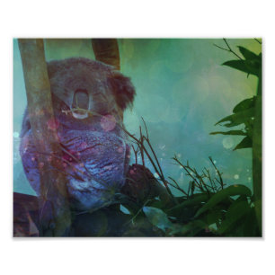 "Sleeping Koala" Foto Afdruk
