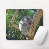Sleeping Koala Foto Muismat (Met muis)