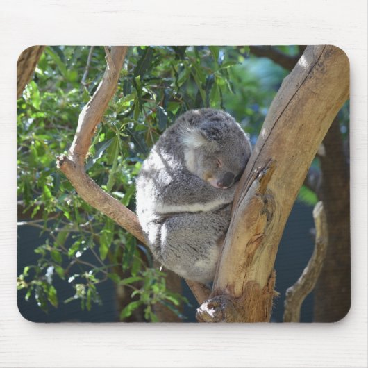 Sleeping Koala Foto Muismat (Voorkant)