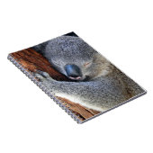Sleeping Koala Notitieboek (Rechterzijde)
