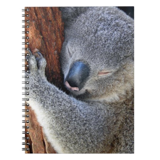 Sleeping Koala Notitieboek (Voorkant)